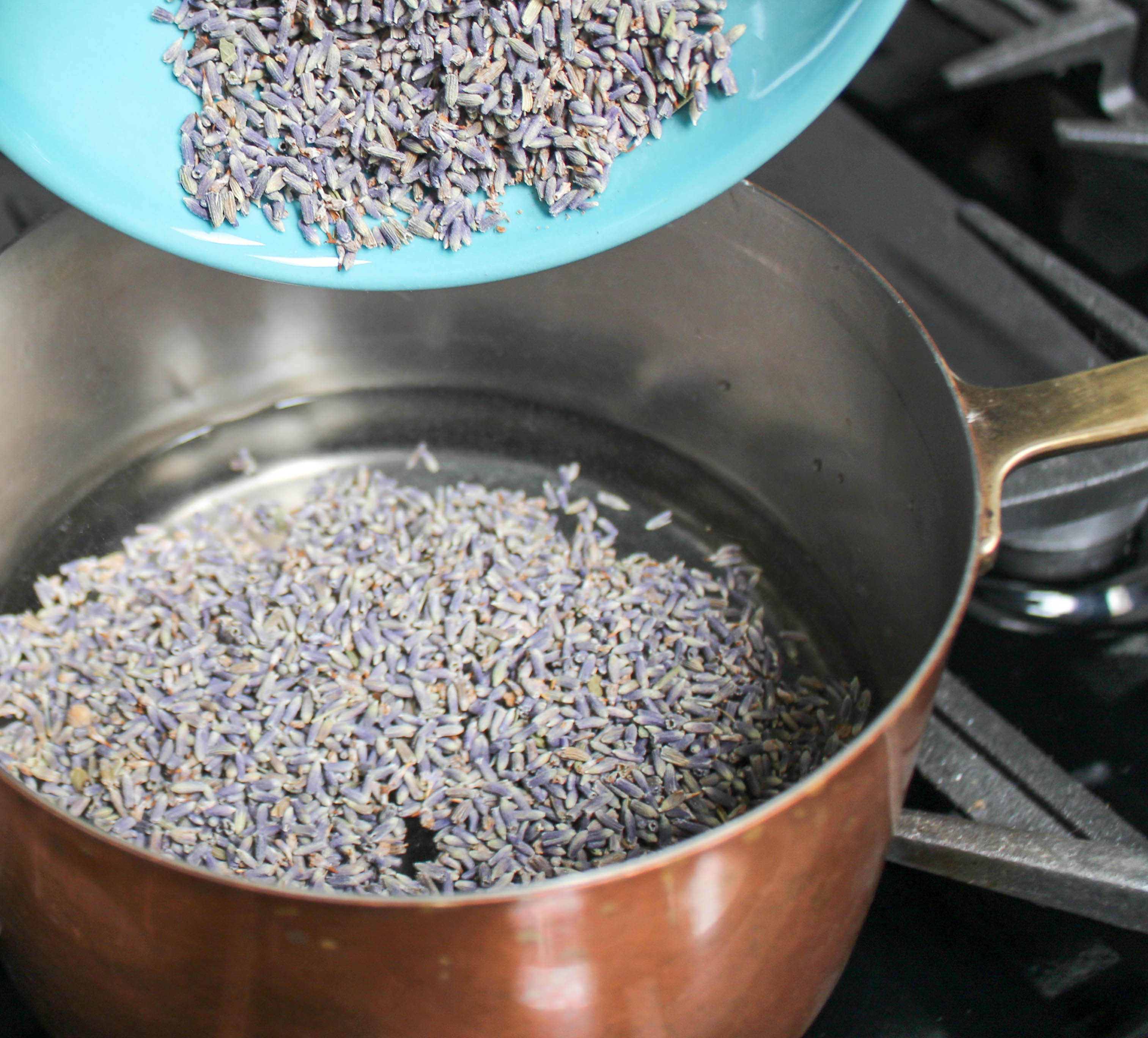 culinary lavender essence recipe-16