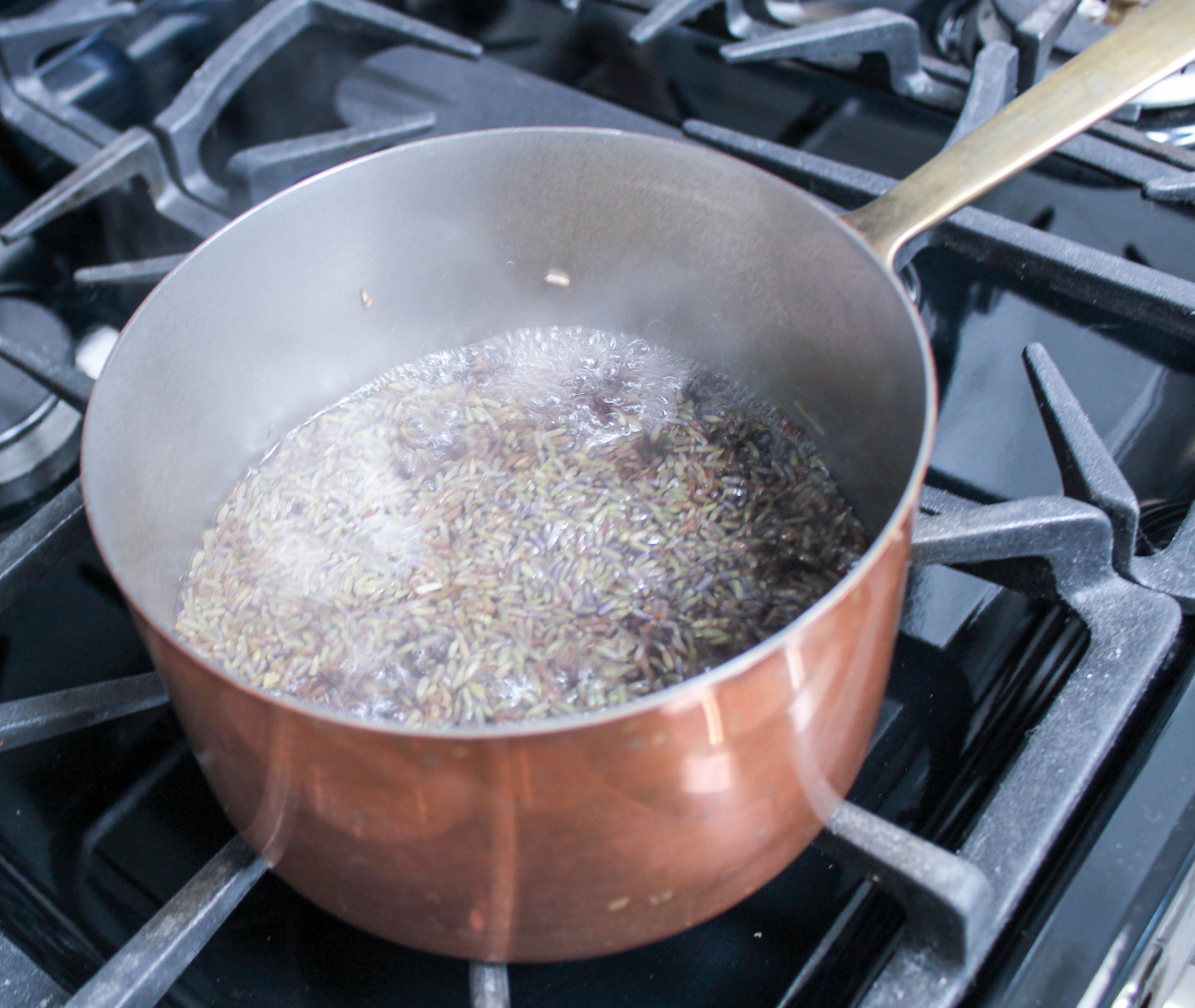 culinary lavender essence recipe-18