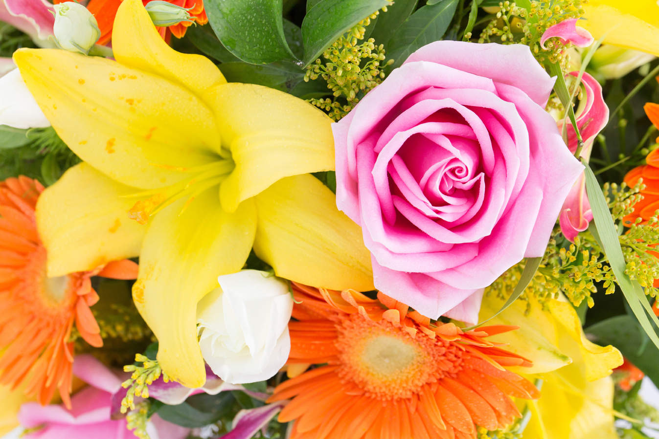 flowers in pink peach and yellow