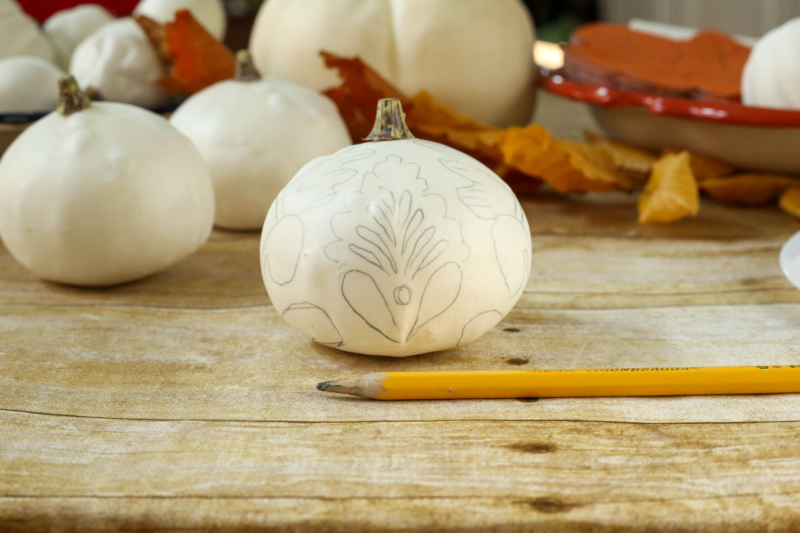 sketch design onto gourd