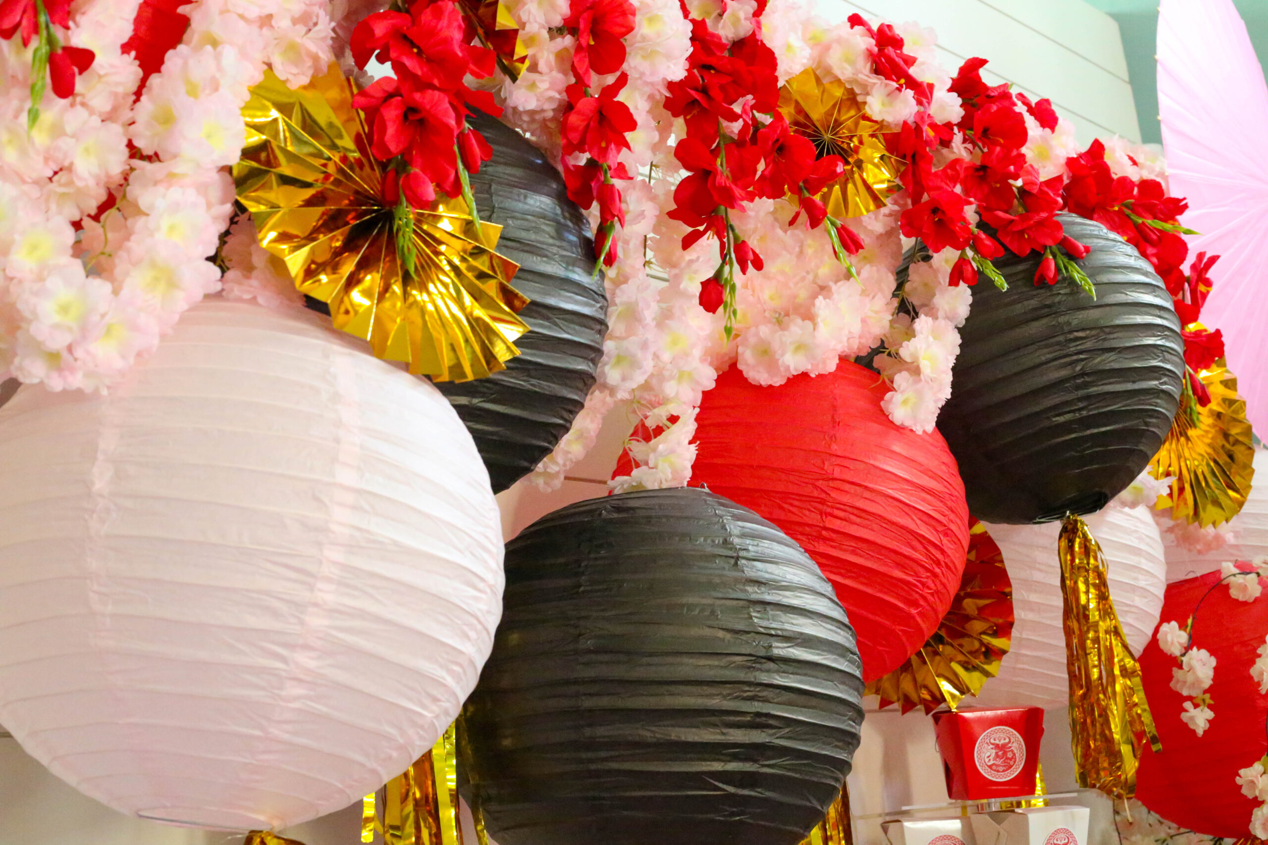 chinese new year backdrop