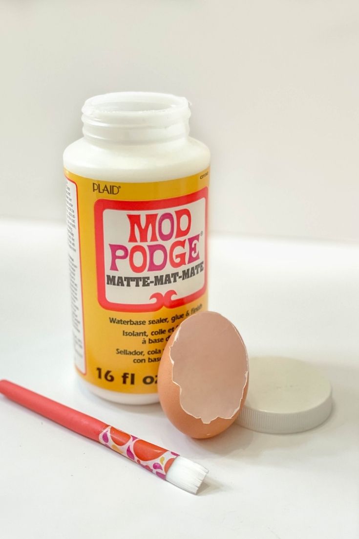 mod podge and a real egg