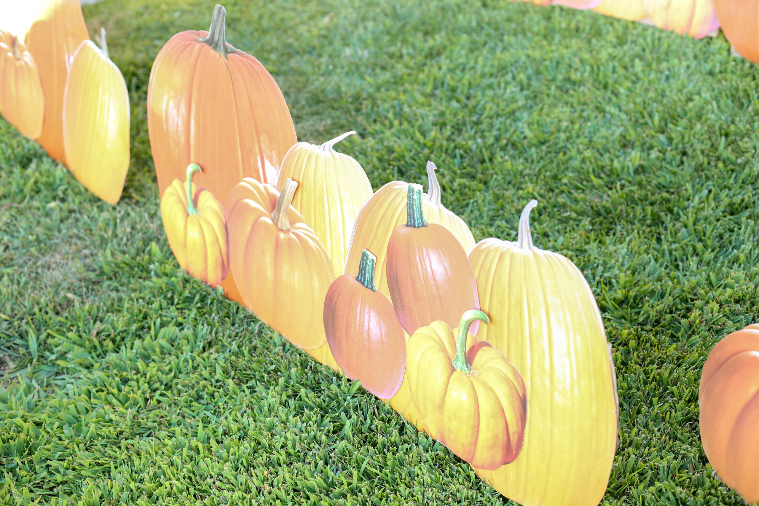 paper pumpkin patch yard display