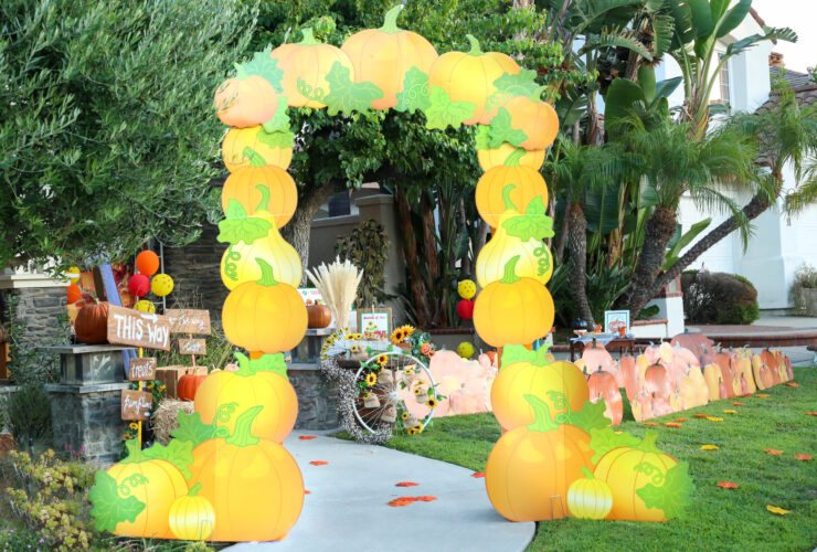 pumpkin patch Halloween yard