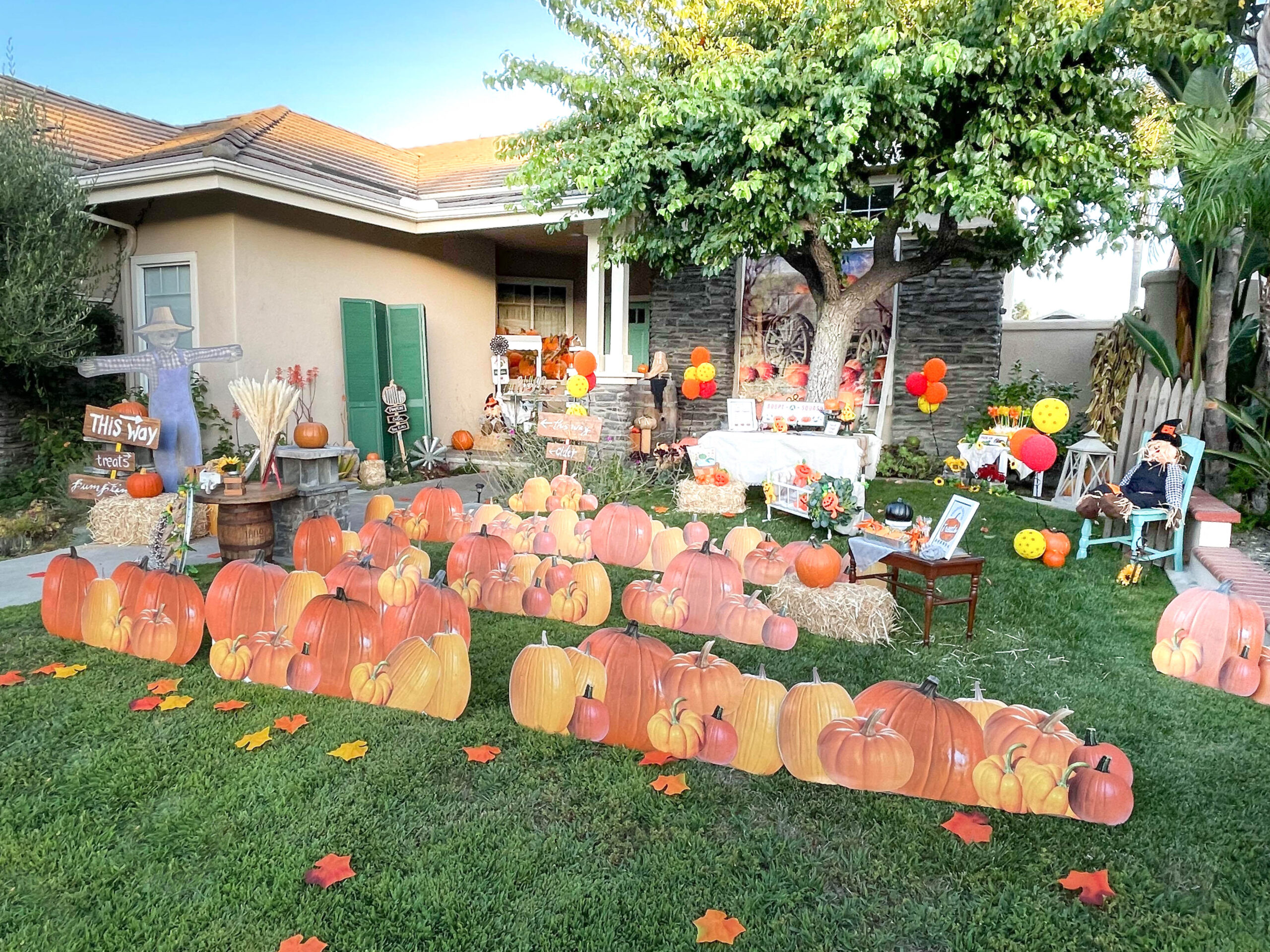 pumpkin patch yard