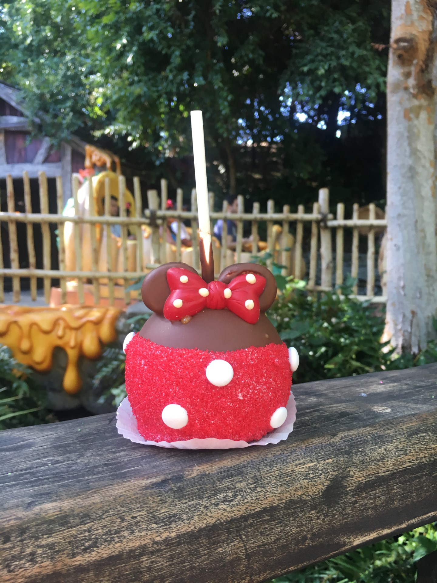 Disneyland Resort Anaheim best desserts include Minnie Mouse chocolate covered apple with red sanding sugar this image near the Splash Mountain area 